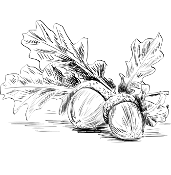 Agrica