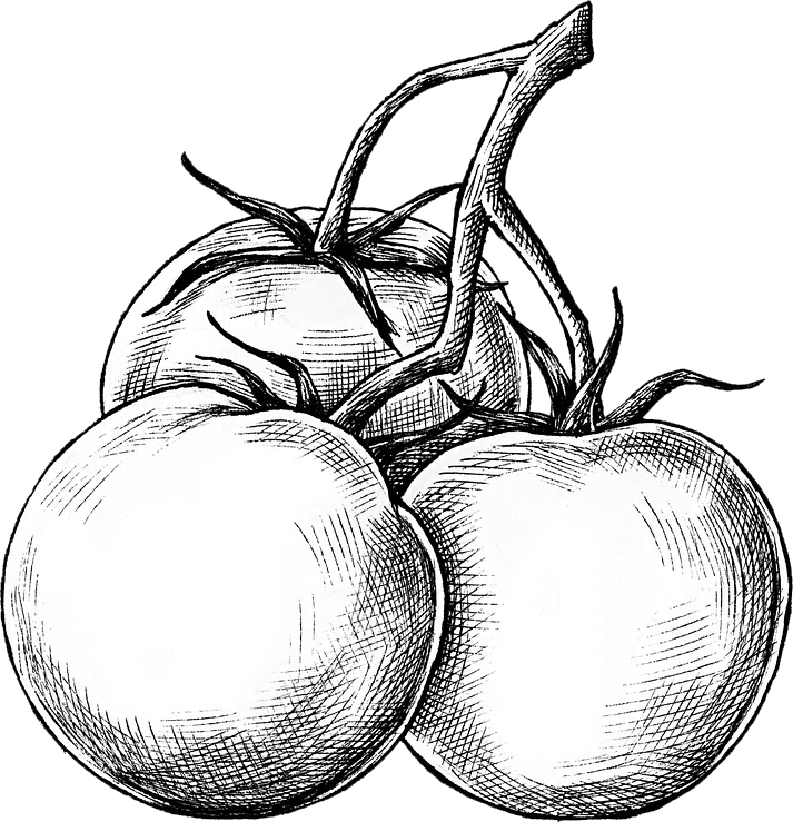 Agrica